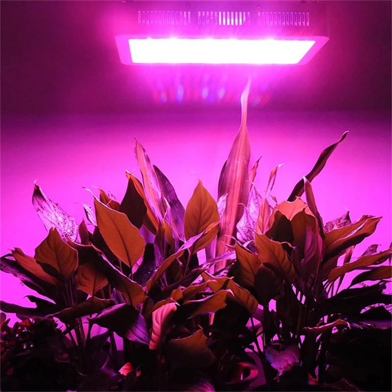 Yabstrip Led Grow Light Celoten Spekter UV IR high power LED rastlin renčati svetlobe za Rastline v Zaprtih prostorih Hydroponic Toplogrednih svetlobe